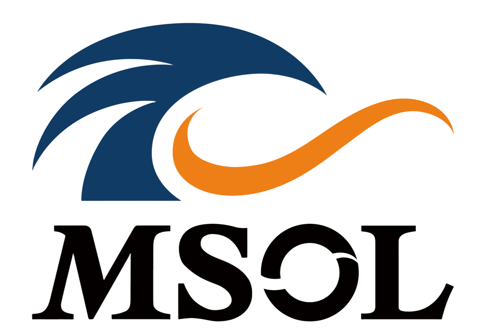 株式会社マネジメントソリューションズ